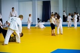 judo