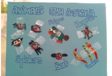 Campamento Prunos - Semana Australia (Actividades)